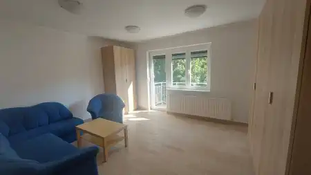Kiadó téglalakás, Budapest, XII. kerület 1+1 szoba 44 m² 250 E Ft/hó